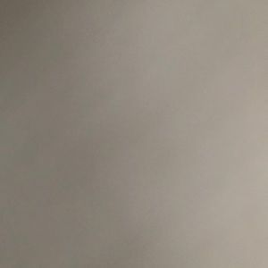 Meet your Posher, Scotty